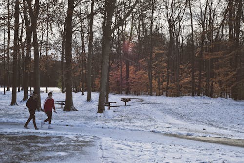 Men Walking 