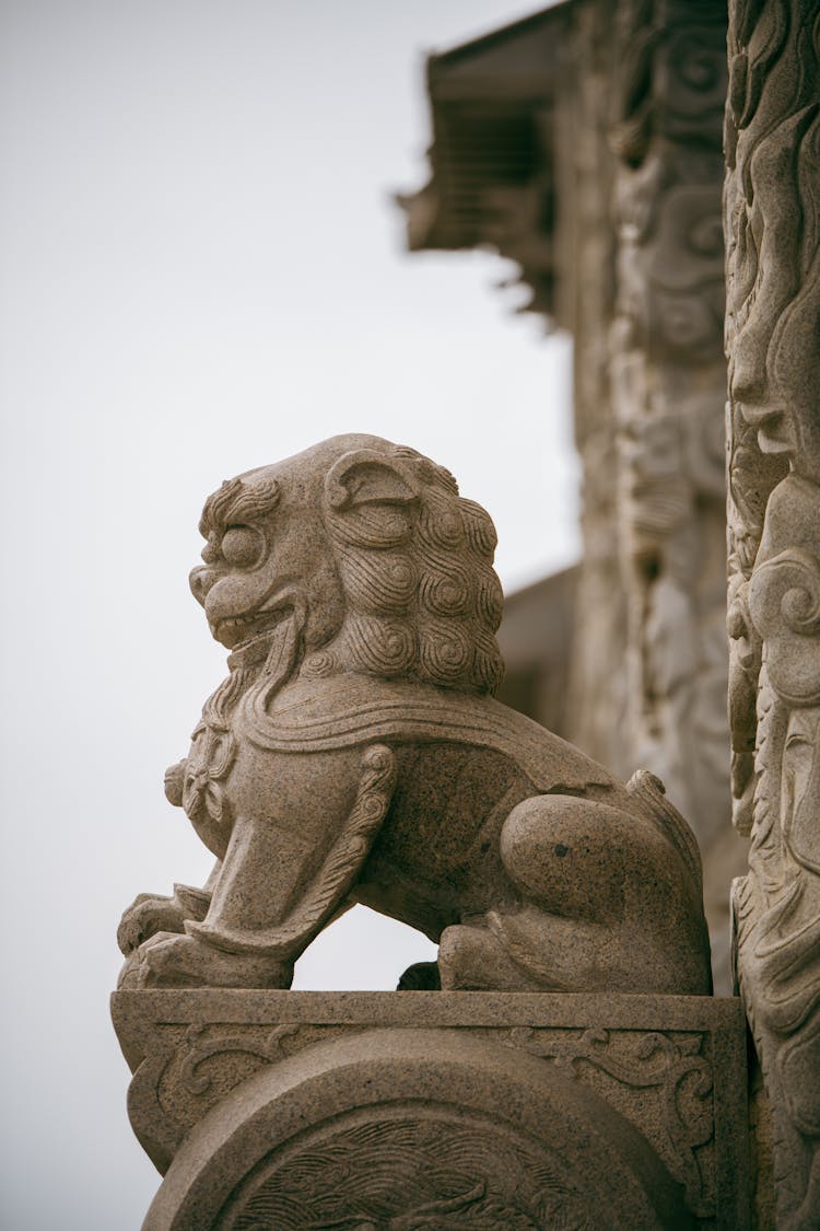 Sculpture Of A Lion On A Building