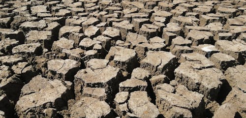 Cracked Earth in Drought