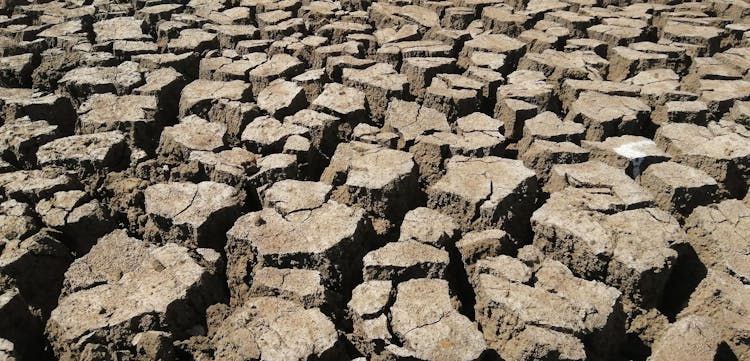 Cracked Earth In Drought