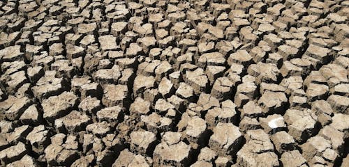 Cracked Earth in Drought