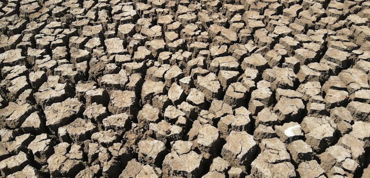 Cracked Earth In Drought