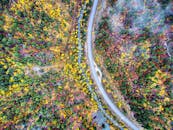 斯皮尔菲什市一条蜿蜒的道路穿过色彩缤纷的秋叶，景色令人叹为观止