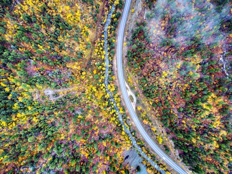 A breathtaking aerial view of a winding road through colorful autumn foliage in Spearfish, South Dakota.
