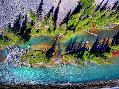 Photographie De Vue Aérienne De La Rivière Et Des Pins