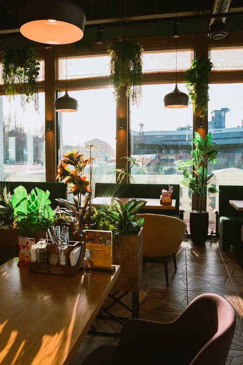 bitkiler, boş, camlar içeren Ücretsiz stok fotoğraf