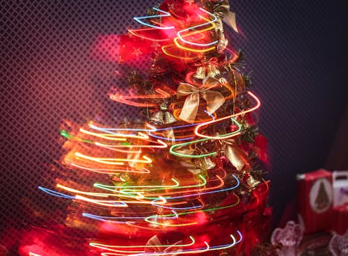 gratis Kerstboom Met String Lights Stockfoto