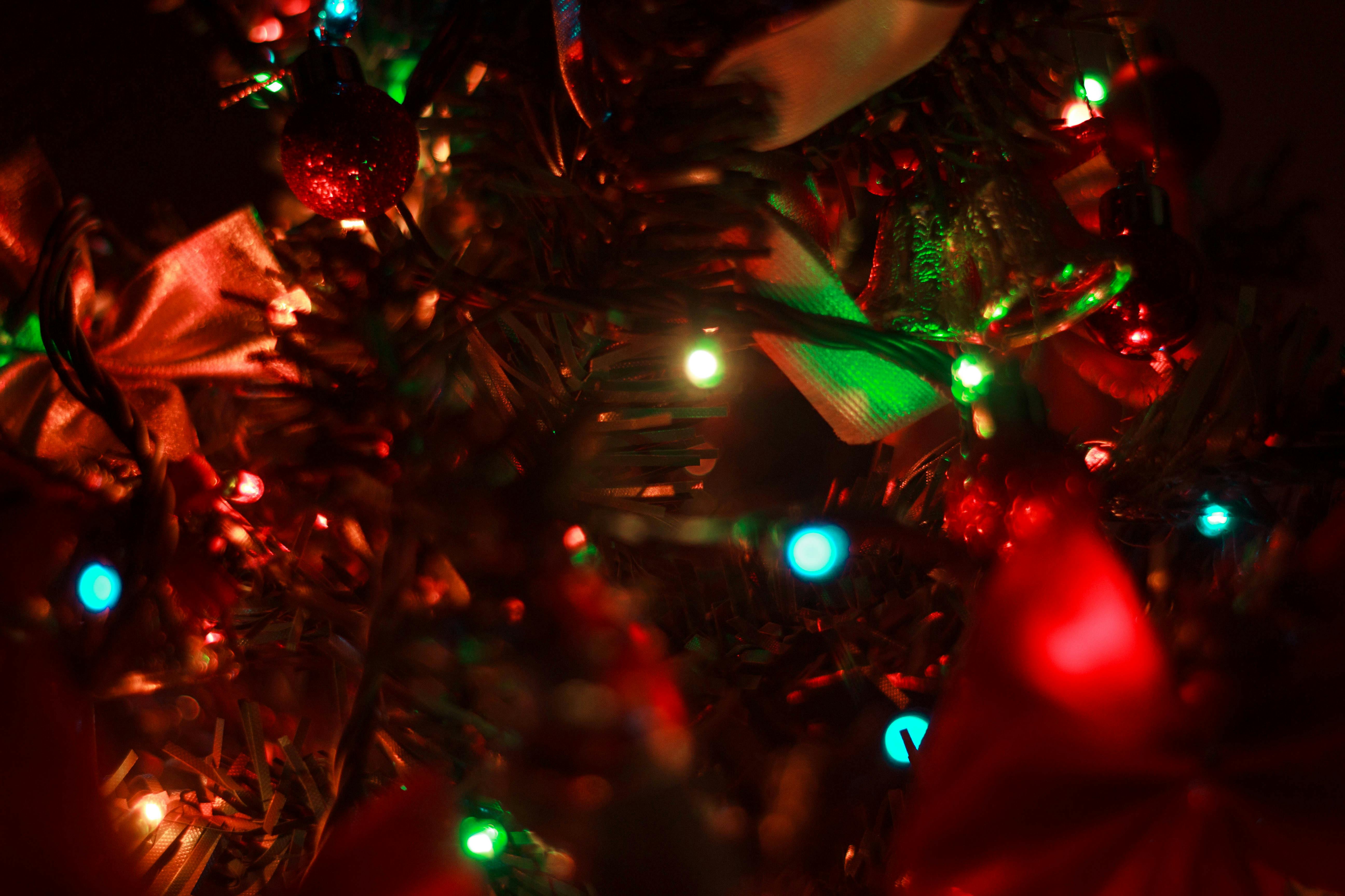Close Up Photo of Christmas Tree With String Lights · Free Stock Photo