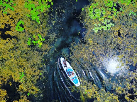 航拍照片中，人们正在郁郁葱葱、充满生机的湖泊上划桨，四周环绕着茂密的绿植