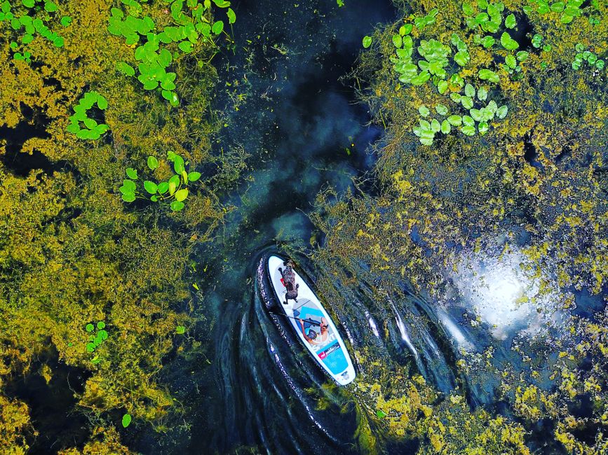 I Tried Paddleboarding Through a Marsh Maze Near Ottawa and Learned to Put My Phone Down