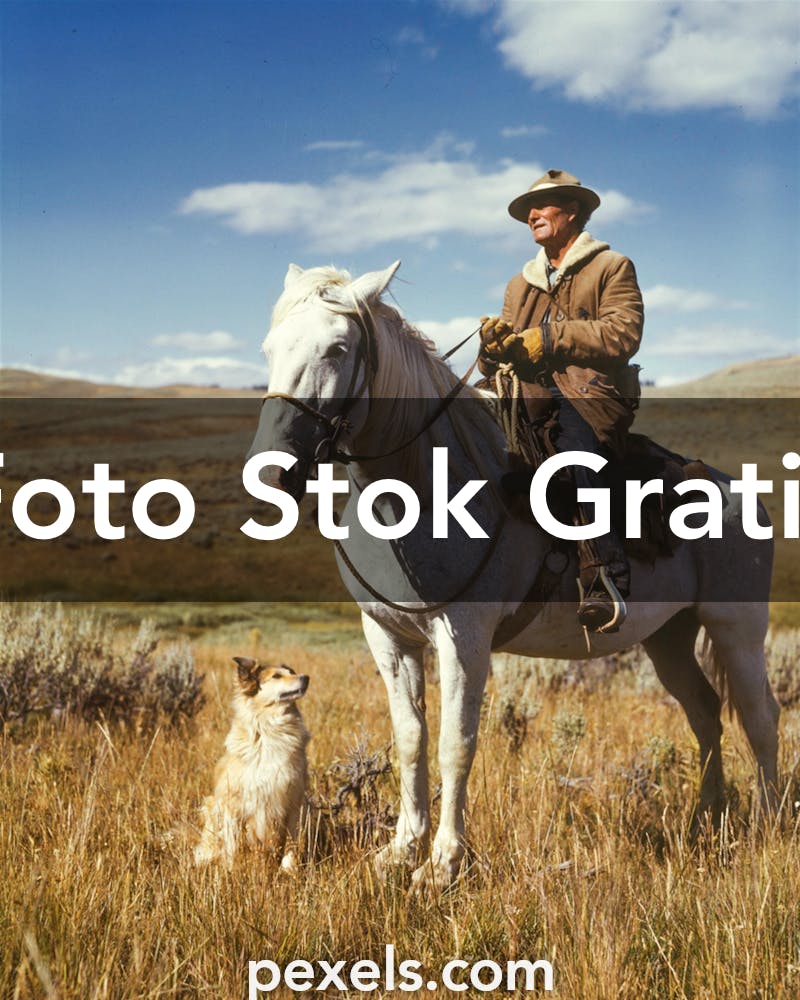 50 Foto Cowboys Pexels  Foto Stok Gratis