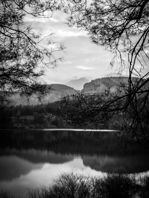 View of a Lake 