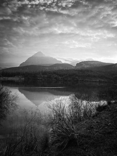 Scenic View of a Lake 