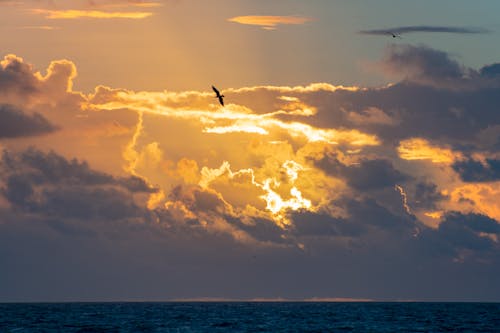 Fotobanka s bezplatnými fotkami na tému horizont, more, mraky