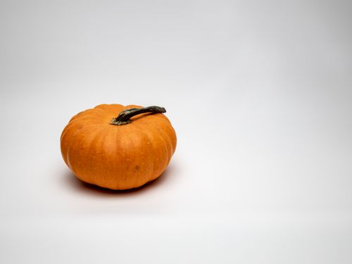 Free An artistic close-up of a single orange pumpkin on a white background, perfect for autumn themes. Stock Photo