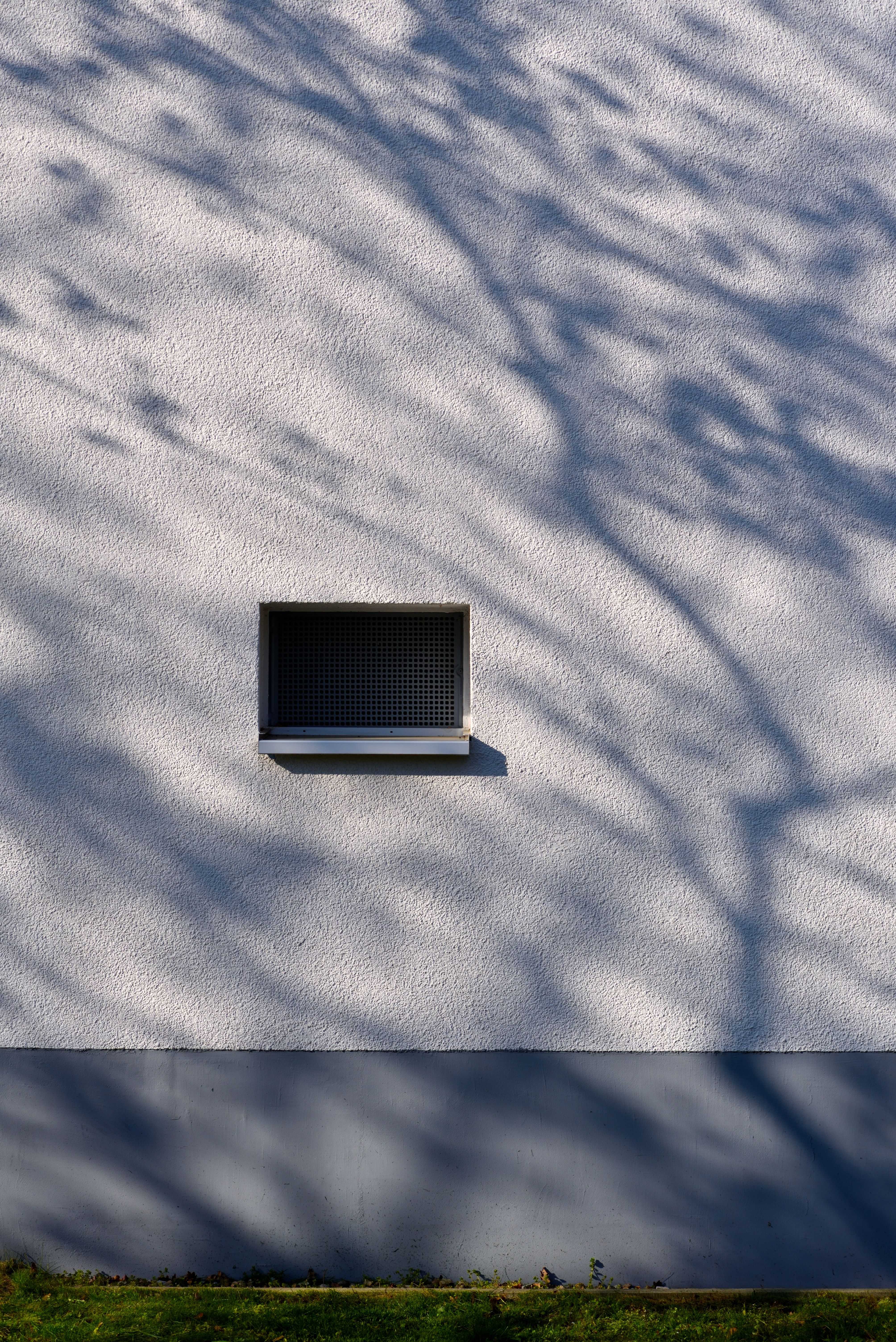 Tree Shadows on White Wall · Free Stock Photo
