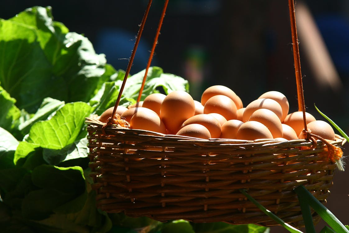 Free Basket Filled With Poultry Eggs Stock Photo