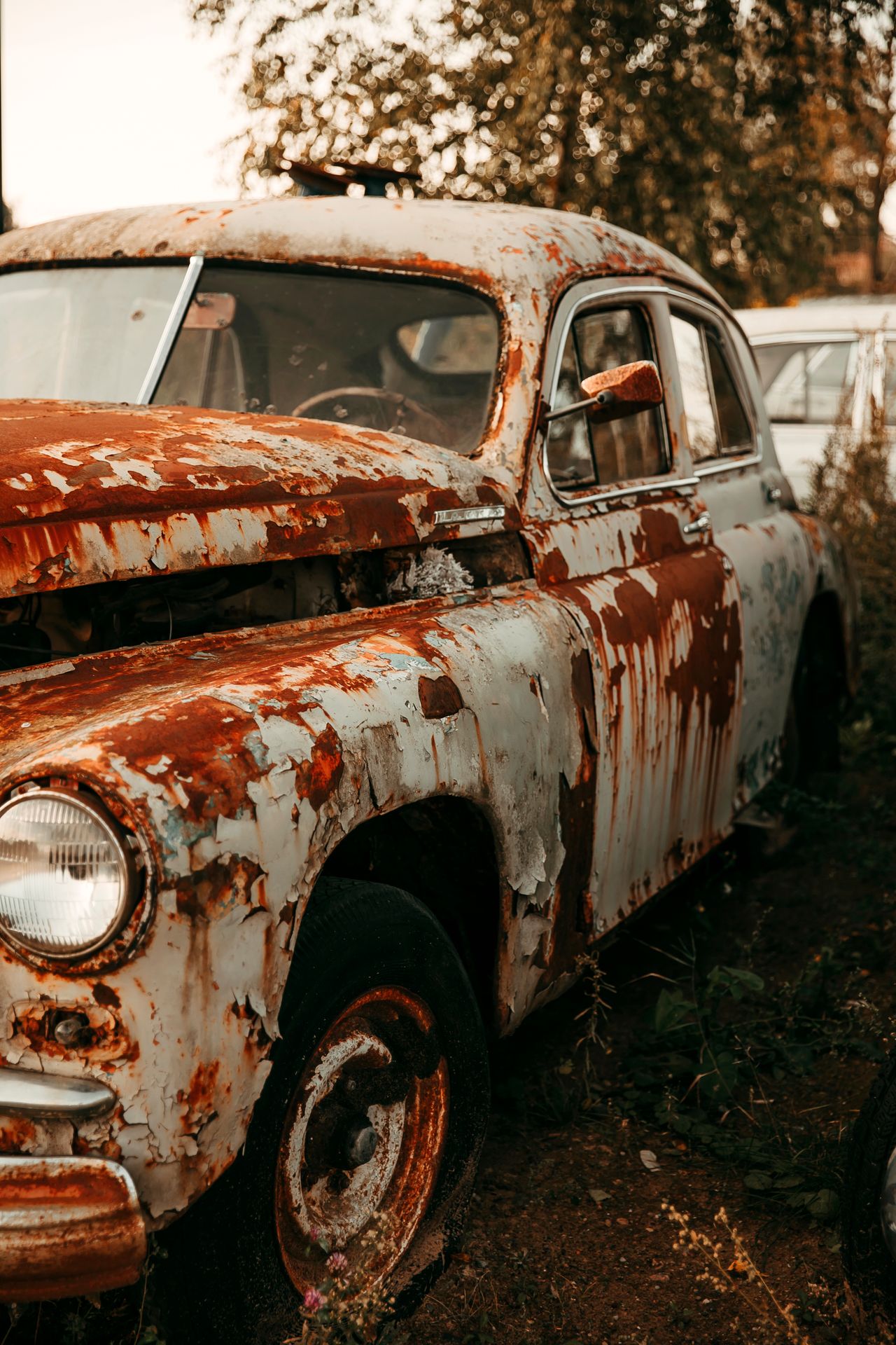 Salt Air Corrosion: What to Check When Buying a Used Car on the Isle of Wight