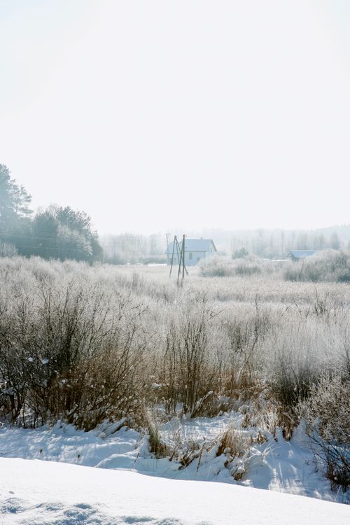 Free Serene winter scene featuring snow-covered fields and a distant village under bright sunlight. Stock Photo