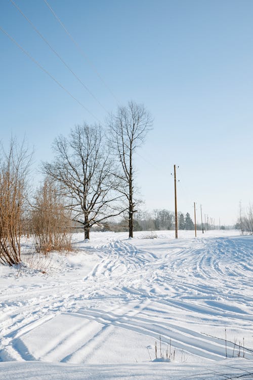 Fotobanka s bezplatnými fotkami na tému chladný, elektrické vedenia, jasná obloha