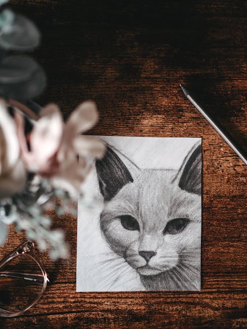 アート, スケッチ, ネコの無料の写真素材