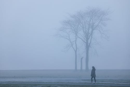 Free Woman Walking Alone on a Field in Dense Fog Stock Photo