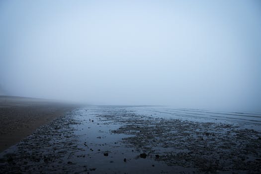 Serene and misty seashore in the early morning with fog and pebbles creating a tranquil atmosphere.