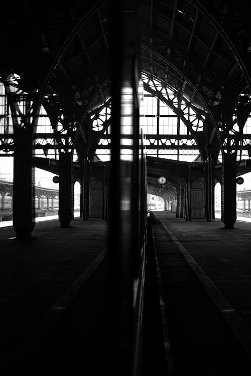 Free stock photo of black and white, central station, train