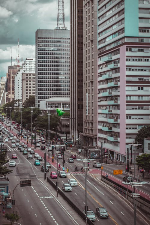 무료 고층 빌딩 근처 도로에 다양한 색상의 차량 부지 스톡 사진