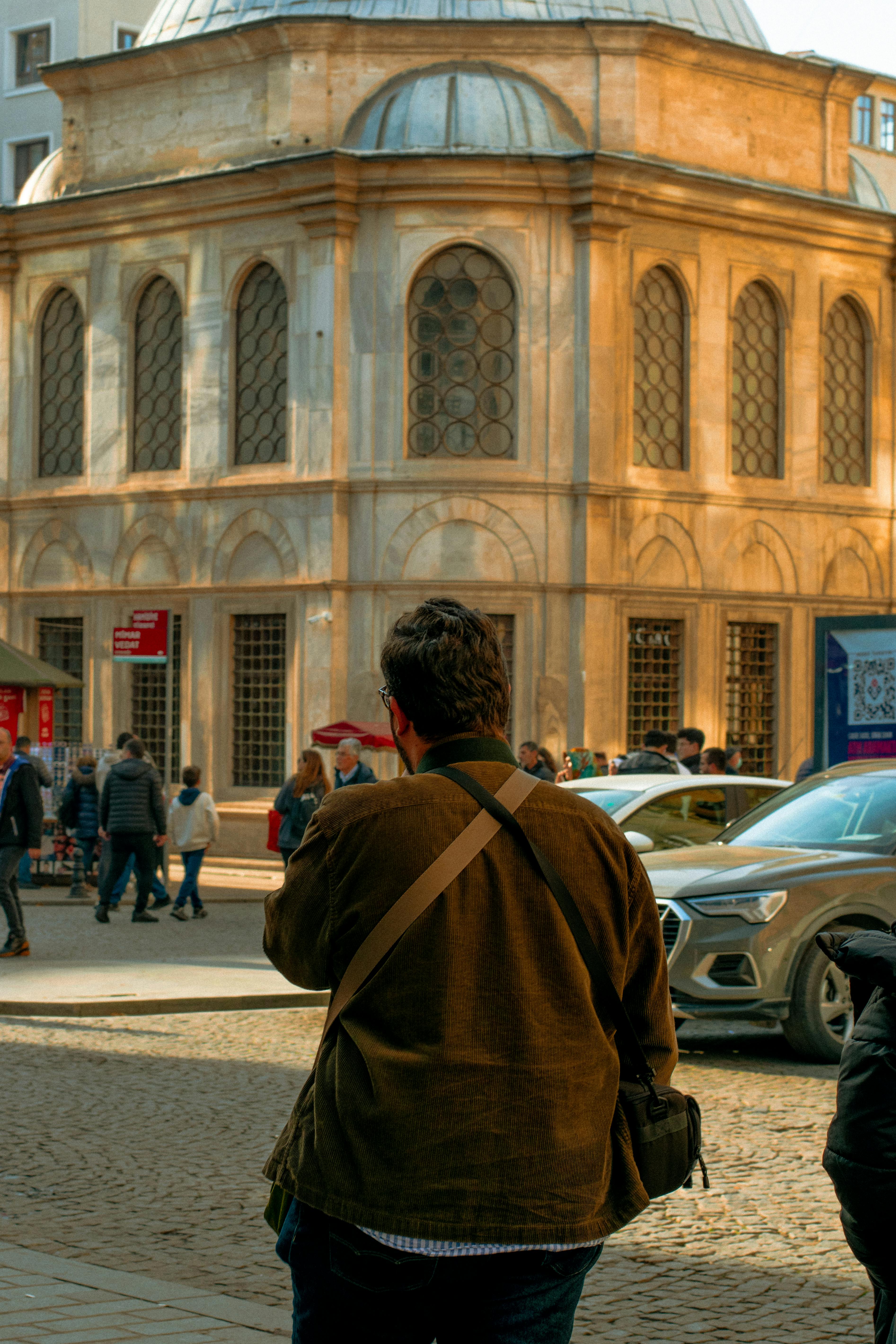 10+ Hamid ใบไม้ Bilder und Fotos · Kostenlos Downloaden · Pexels Stock