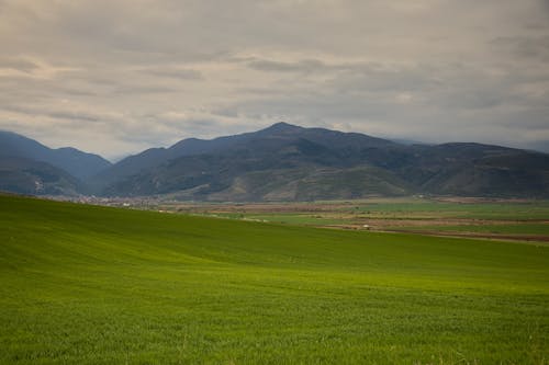 Landscape of a Green Meadow and Mountains under a Cloudy Sky 