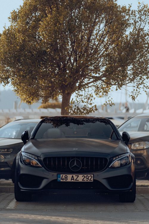 Free Front view of a gray Mercedes-Benz car parked under a tree in a parking lot. Stock Photo