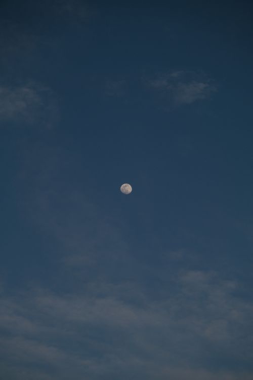 Free Peaceful evening sky featuring a luminous full moon surrounded by wispy clouds. Stock Photo