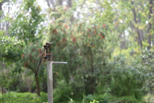 How to Create a Sustainable Water Cycle Using Greywater and Rain Harvesting