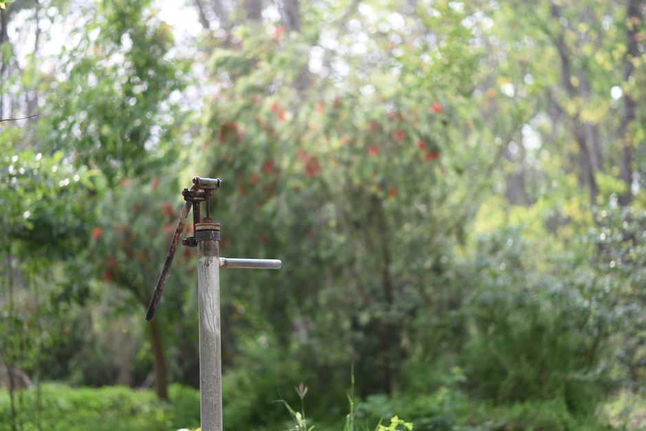 How to Create a Sustainable Water Cycle Using Greywater and Rain Harvesting
