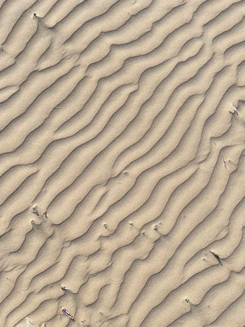 Top View on a Dune