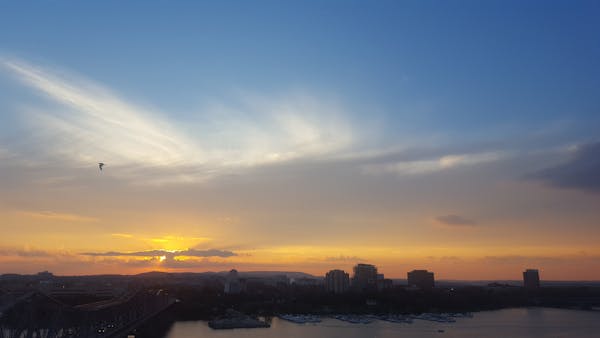 Bolo decorado com flores