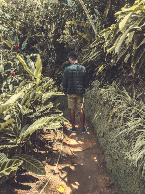 Homem Parado Entre Plantas Verdes