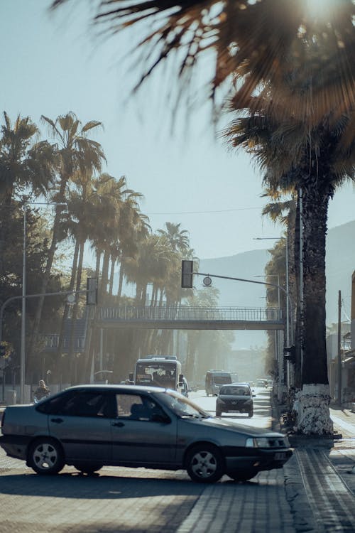 Ilmainen kuvapankkikuva tunnisteilla asfaltti, auringonvalo, autot