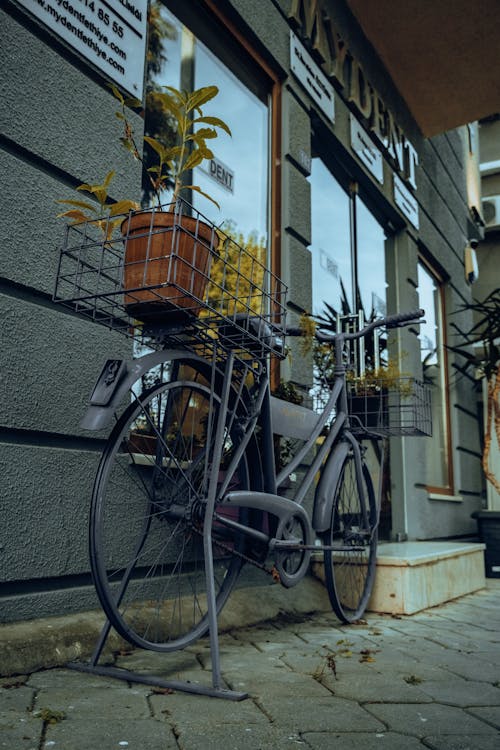 Bicycle with Houseplants in the Rack