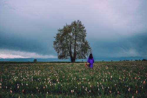 Free A woman in a purple dress walks through a flower-filled meadow under an overcast sky. Stock Photo