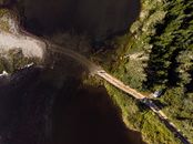 Aerial Photography Of Road Near Trees