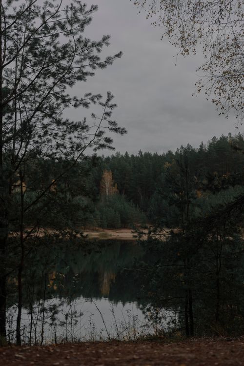 Free A serene lake surrounded by a dense, reflective autumn forest under a cloudy sky. Stock Photo