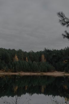 A tranquil scene of a forest reflected in a still lake under a cloudy sky, perfect for nature themes.