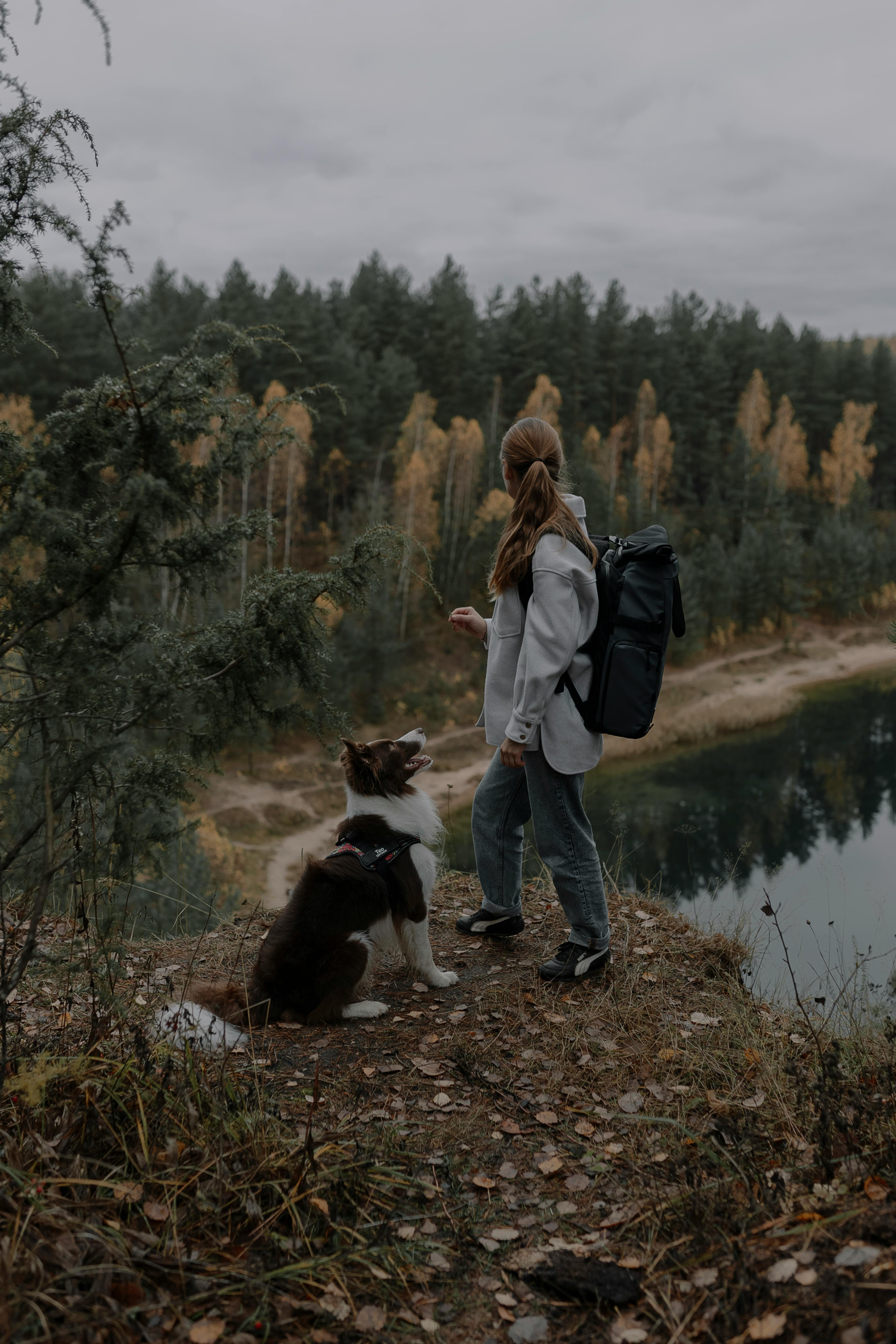 A woman with a dog enjoys hiking by a serene lake in a forest during autumn.
