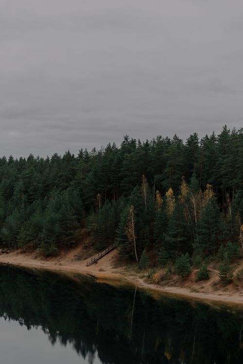 Free Lush green forest reflecting on a calm lake with overcast sky, creating a serene landscape. Stock Photo