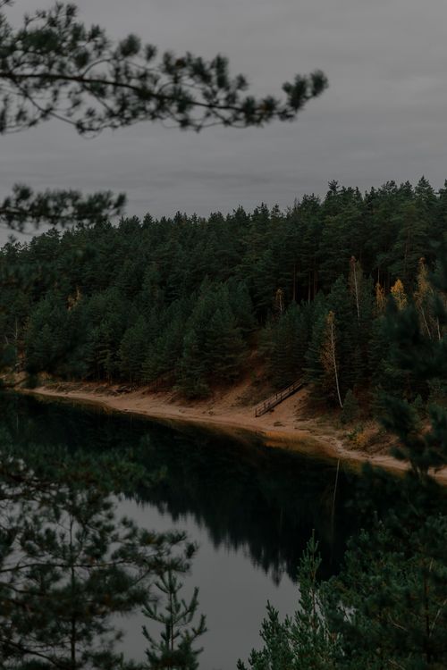 Free Peaceful autumn scene with coniferous forest reflecting on a calm lakeshore. Stock Photo