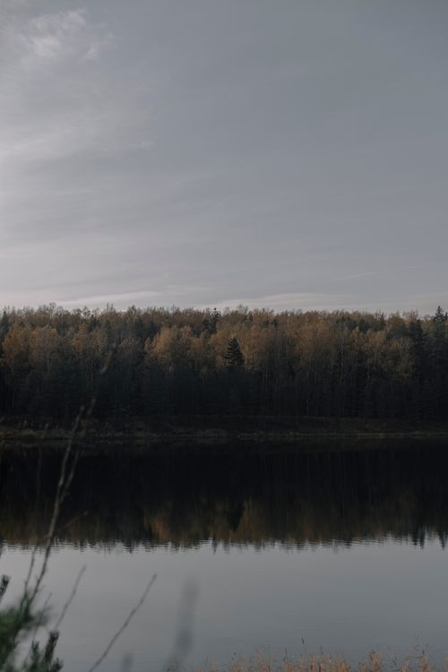 Free Serene autumn forest reflected on a calm lakeside, capturing nature's tranquility. Stock Photo
