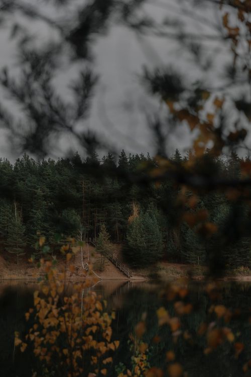 Free Tranquil autumn scene with a lake and birch trees in a dense forest, perfect for nature themes. Stock Photo