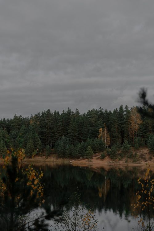 Free A tranquil forest reflecting on a lake under an overcast autumn sky. Stock Photo